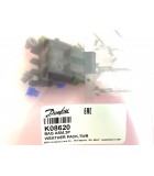 K08620